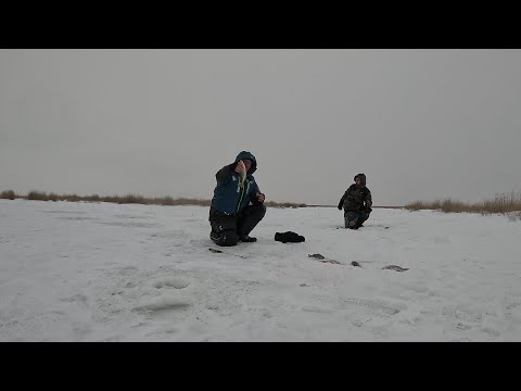 НАШЛИ СКОПЛЕНИЕ  И ДАВАЙ ЕГО ТАСКАТЬ. ОН КЛЕВАЛ НА ВСЁ И ДАРИЛ НАМ КУЧУ ЭМОЦИЙ...