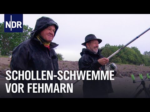 Mai-Scholle vom Kutter im Fehmarnsund | Rute raus, der Spaß beginnt! | NDR Doku