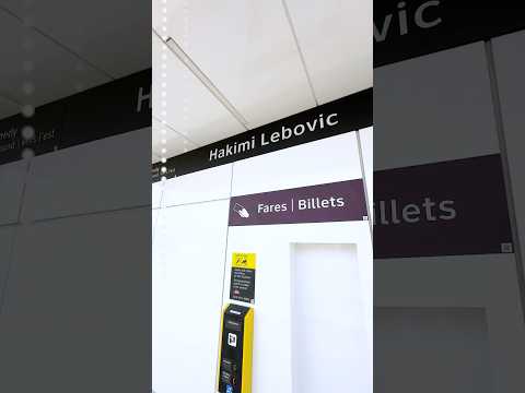 Fly through Line 5 Eglinton's Hakimi Lebovic stop