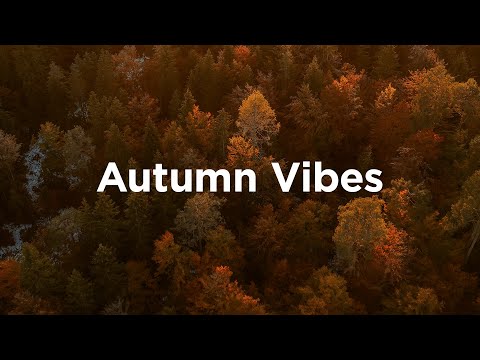 Autumn Vibes 🌅 Sunset Chillout