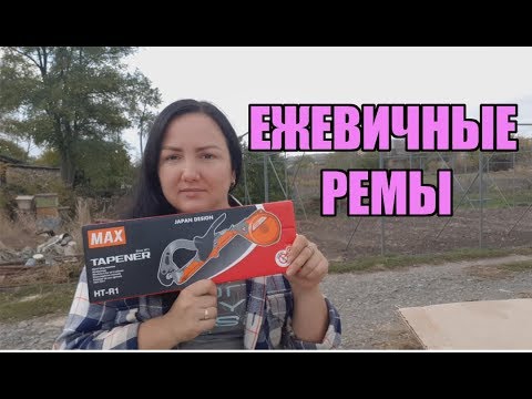 Ежевика Блэк Джем и другие сорта ремонтантной ежевики. Обсудим?