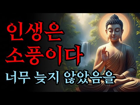 이제야 깨달았습니다. 집착을 내려놓으니 남은 인생이 너무나 편안합니다 | 부처님 말씀