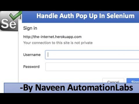 How to Handle Basic Authentication Pop Up in Selenium