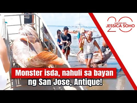 Monster isda, nahuli sa bayan ng San Jose, Antique! | Kapuso Mo, Jessica Soho