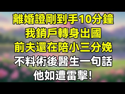 離婚證剛到手10分鐘,我銷戶轉身出國,前夫還在陪小三分娩,不料術後醫生一句話,他如遭雷擊！  #夜讀人生 #完结文 #情感故事 #一口气看完 #爽文 #小說