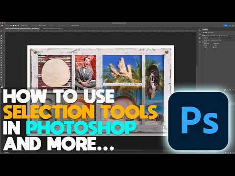 How to use Selection tools in Photoshop 2024