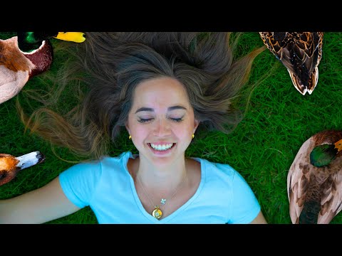 throwing a pool party for 19 ducks