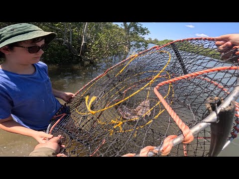 Stolen Crab Pot - Mud Crabbing Adventure with Son