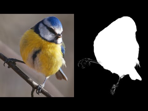Masking Adjustment & Live Filter Layers (Affinity Photo)