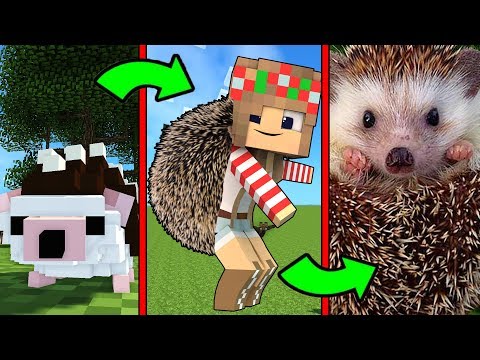 Как Менялась Девушка Ёжик и её Жизненный Цикл в Майнкрафт Эволюция Minecraft Троллинг Мультик Майн