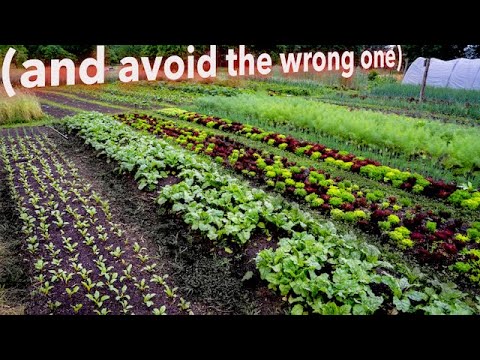 How to Choose the Right No-Till System