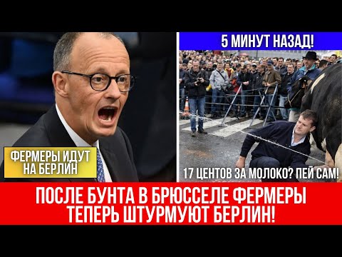 Мерц в панике: АДГ встала на сторону бунтующих фермеров!