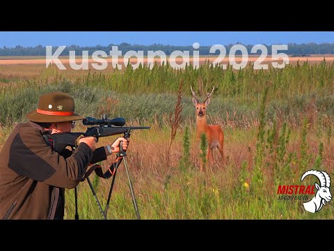 Jagd auf Sibirische Rehböcke in Kustanai 2025