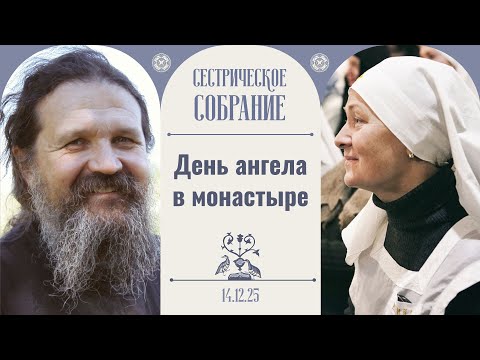 Как прекрасен этот мир! Праздничное сестрическое собрание с о. Андреем Лемешонком 14.12.25
