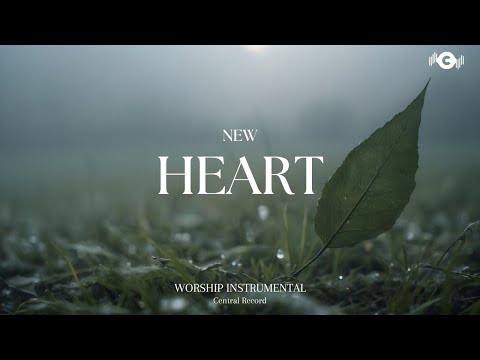 NEW HEART - Soaking worship instrumental | Prayer and Devotional