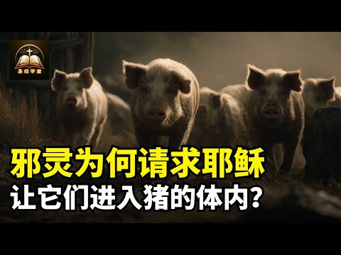 邪灵为何请求耶稣让它们进入猪的体内？