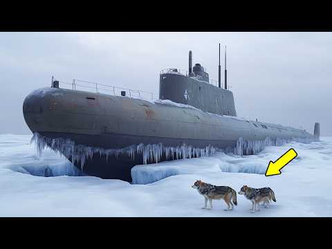 Scientists Found a WWII Submarine in Arctic Ice – What Was Inside Shocked Everyone!