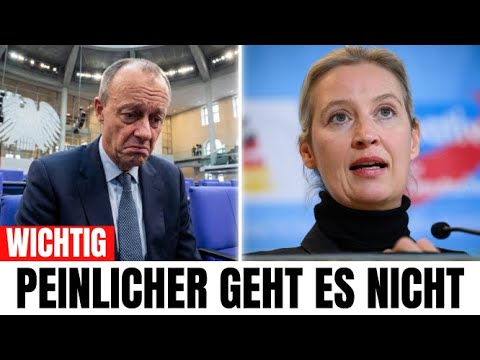 Merz unter DRUCK! Weidels harte Ansage zum Wahlversprechen