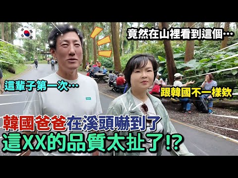 A Korean dad was terrified in Xitou! He'd never been to such a beautiful place before! 😱 What's h...