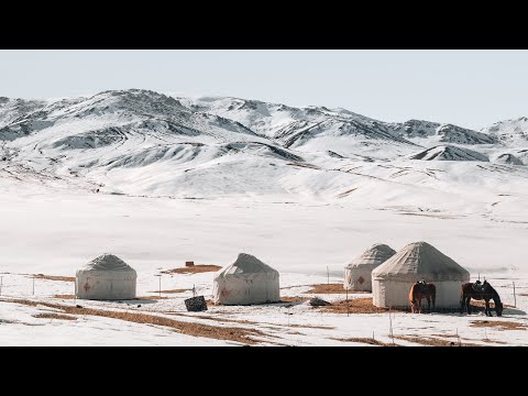 На лошадях в горах Алматинской области . ВСТРЕТИЛИ ЛИСИЦУ И ЗАНОЧЕВАЛИ В ЮРТЕ . 