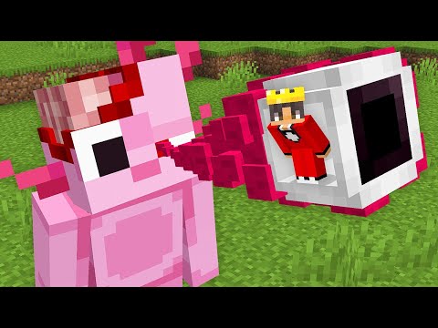 Can I Survive Inside a Minecraft Body?