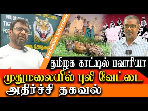 Tiger Poaching @ Mudumalai tiger reserve - Bawaria gang kills 11 tigers in a month in Ooty