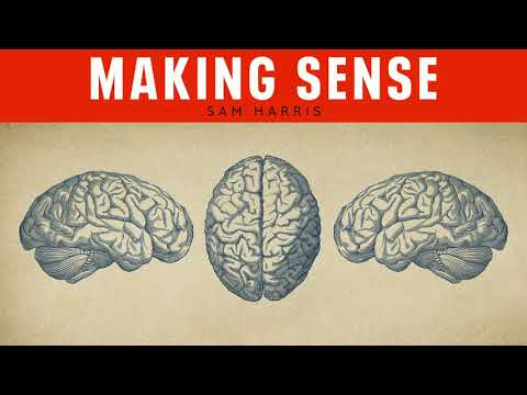 The Divided Mind: A Conversation with Iain McGilchrist (Episode #234)