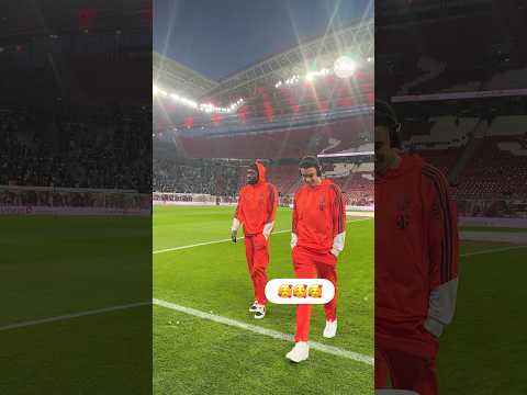 𝑷𝒉𝒐𝒏𝒛𝒊𝒂𝒍𝒂 is back, guys! 🥹❤️