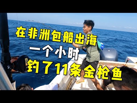 在非洲包船出海钓鱼,一个小时钓了11条金枪鱼,这次赚大发了!