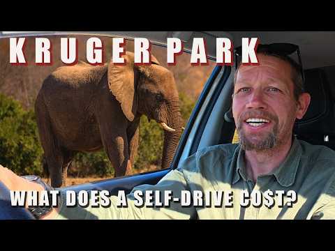 Kruger National Park Photo Safari: What does a Self-Drive Photo Safari Cost