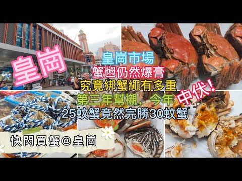 深圳吃喝玩樂 | 快閃買蟹@皇崗市場 | 究竟綁蟹繩有多重 | 25蚊爆膏蟹乸蟹公 | 貴蟹反而中伏 | 蟹乸仍然爆膏 |  | EP132