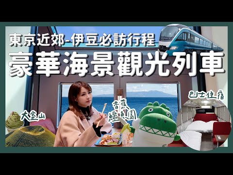 【醉日本】東京近郊｜一定要搭一次的海景觀光列車 伊豆半島必訪行程交通攻略｜SAPHIR踴子號 靜岡 大室山 小室山 JR東日本