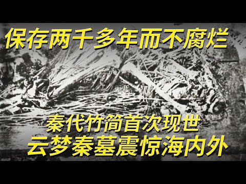 秦代墓葬首次出土1155枚竹简 保存千年不腐 四万多字留存 内容丰富震惊海内外！——云梦秦简特辑  |  中华国宝