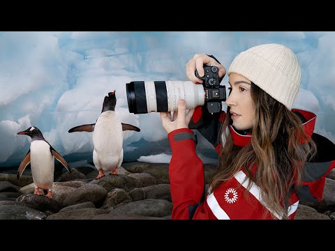 My Solo Travels to ANTARCTICA