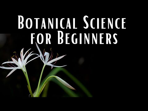 Botanical Science for Beginners