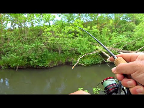 ДА СКОЛЬКО ЖЕ РЫБЫ В ЭТОМ РУЧЬЕ? Рыбалка на спиннинг в заросшей микро речке превзошла все ожидания