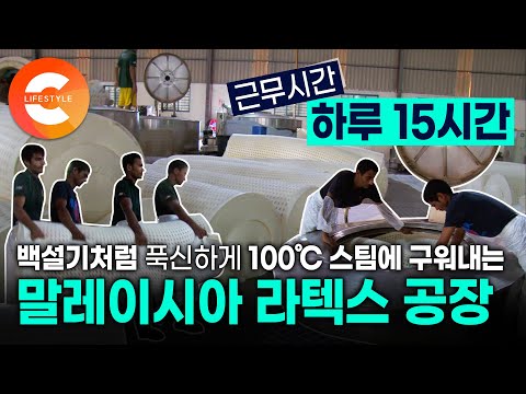'천연 라텍스' 사실은 이렇게 힘들게 만듭니다. '하루 15시간 근무' 고무나무 수액을 100℃의 스팀에 구워내면 일어나는 일 | 동남아시아 최대 라텍스 생산 공장