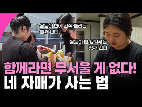 [인간극장] 아빠, 언니, 형부, 할머니, 큰아빠... 천하무적 쌍둥이의 든든한 가족들 | KBS 방송