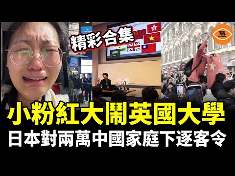 【精彩合集】日本對兩萬中國家庭下逐客令；小粉紅大鬧英國大學，結果被全世界笑話！