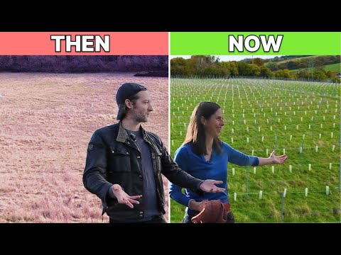 Transforming Wasteland into a Regenerative Vineyard (with Elvis & Kresse)