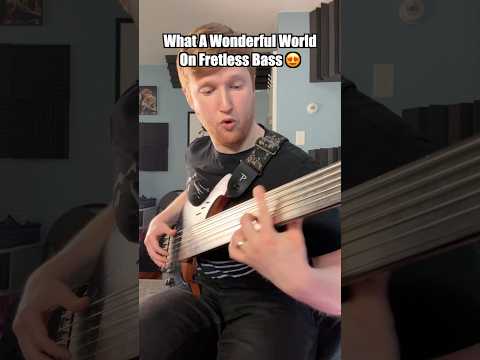 What a wonderful world on fretless bass 😍😍