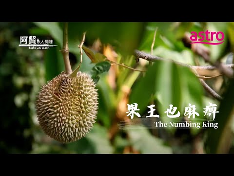 原来吃榴莲那么讲究！教你如何成为榴莲达人｜阿贤人情味 Taste with Jason (2012) S8 EP3