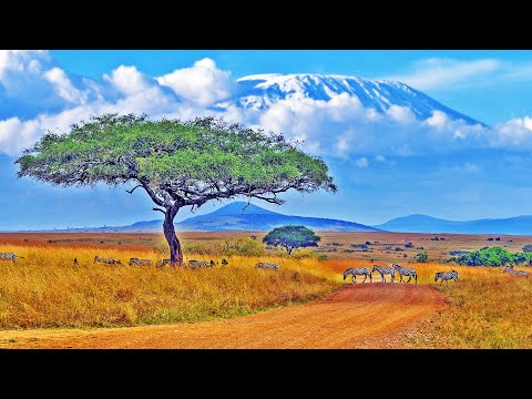 Чудеса Африки! Земля контрастов и исчезнувших цивилизаций.