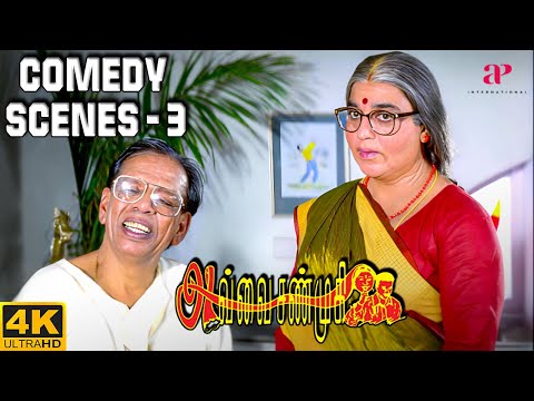 Avvai Shanmugi Comedy Scenes Part-3 | Kamal Haasan | Meena | Gemini Ganesan | Crazy Mohan Comedy