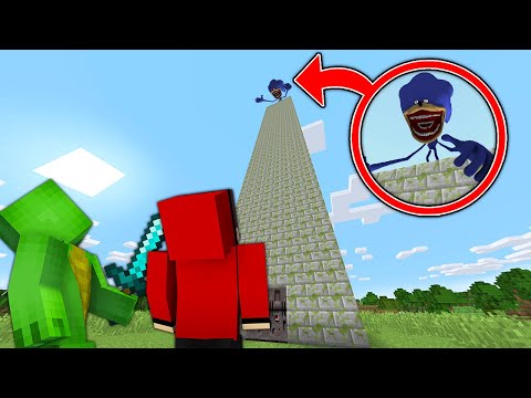 Surviving Shin Sonic Infection