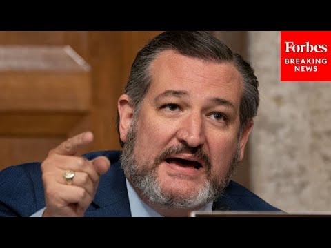 'You're Not Answering My Question': Ted Cruz Clashes With Biden Judiciary Nominee Over Voter ID Laws