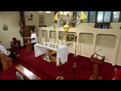 Daily Readings and Homily - 2025-01-21 - Fr. Joseph