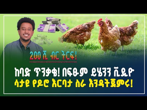 200 ሺ ብር ትርፍ! በፍፁም ይሄንን ቪዲዮ ሳታዩ የዶሮ እርባታ ስራ እንዳትጀምሩ! | Chicken farming business | Gebeya Review