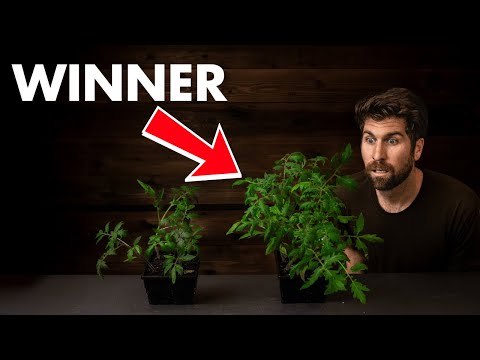 $0 vs $30 Seedling Mix: I TESTED 7 Options to see how big of a difference it makes!