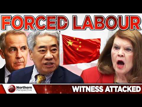 Liberal Michael Ma ATTACKS Witness After She Condemns Forced Labour in China